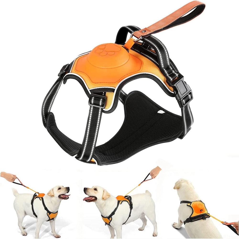 AMORONE packaging shown with accessories for a ready-to-use walking kit.