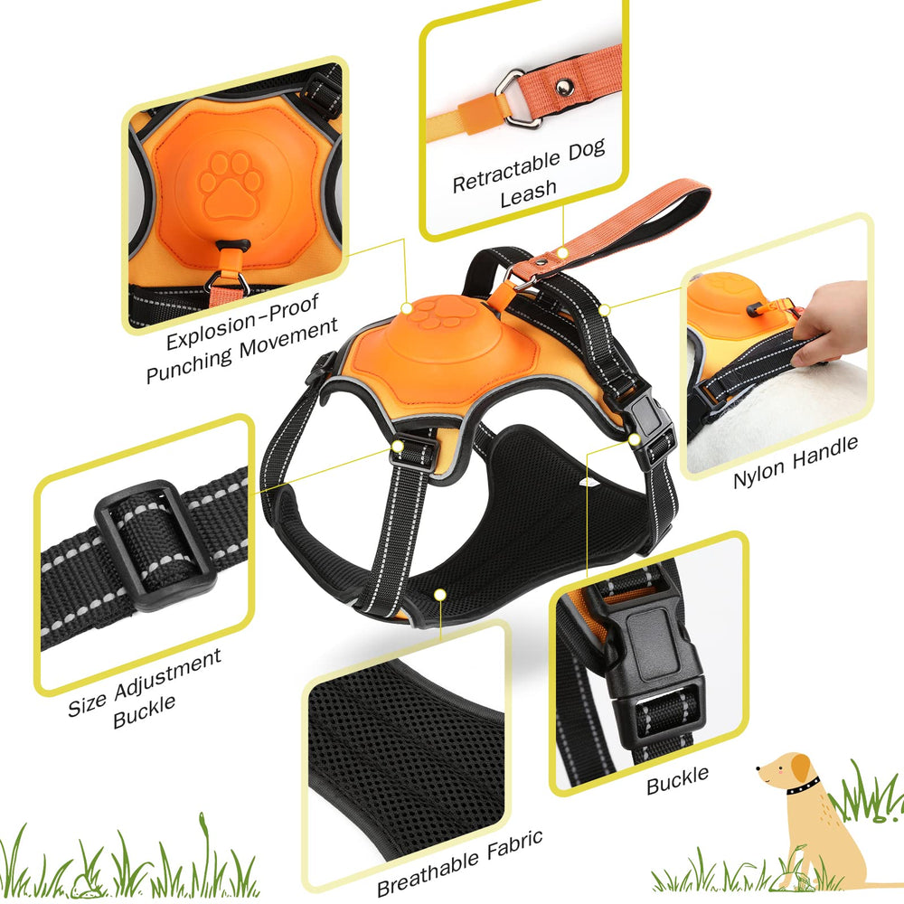 AMORONE retractable leash extended for steady, controlled outdoor training sessions.