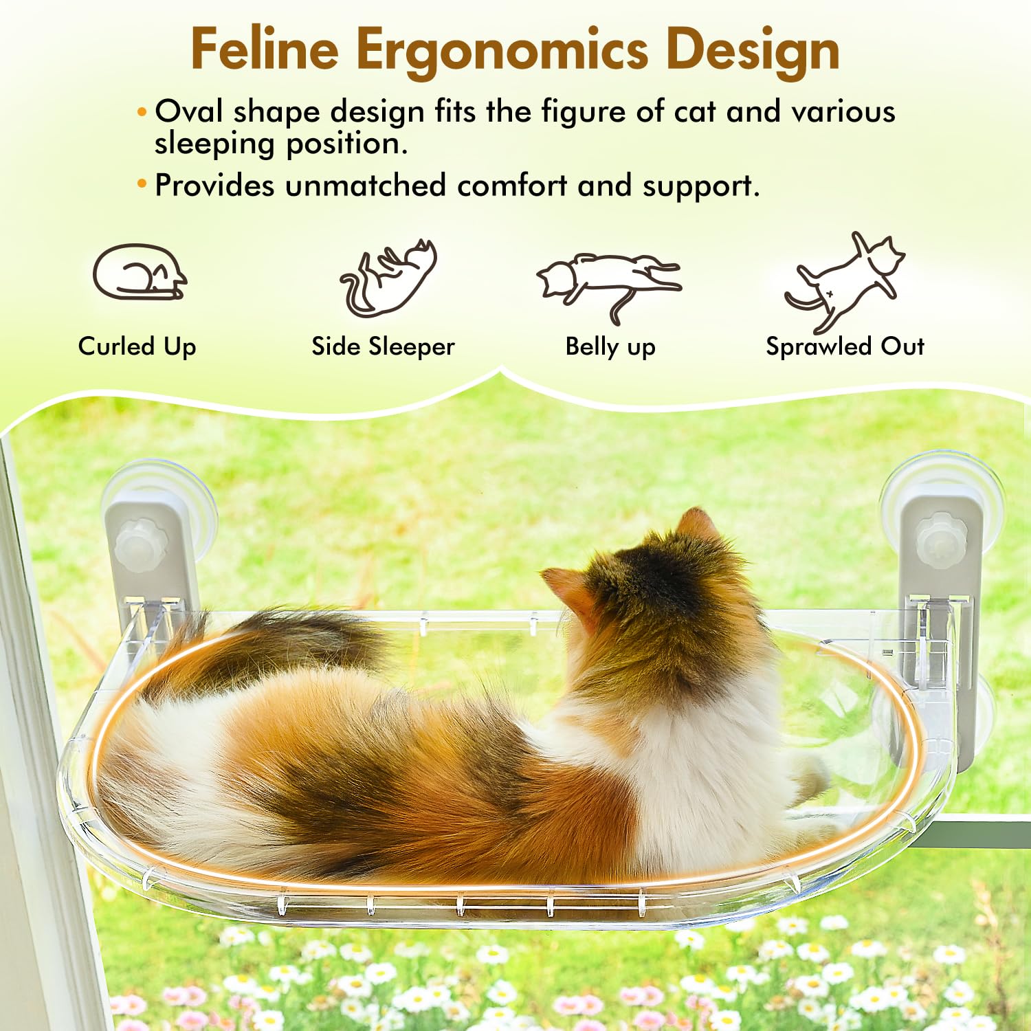 AMOSIJOY cat window perch in use shows peaceful sunbathing and observation.
