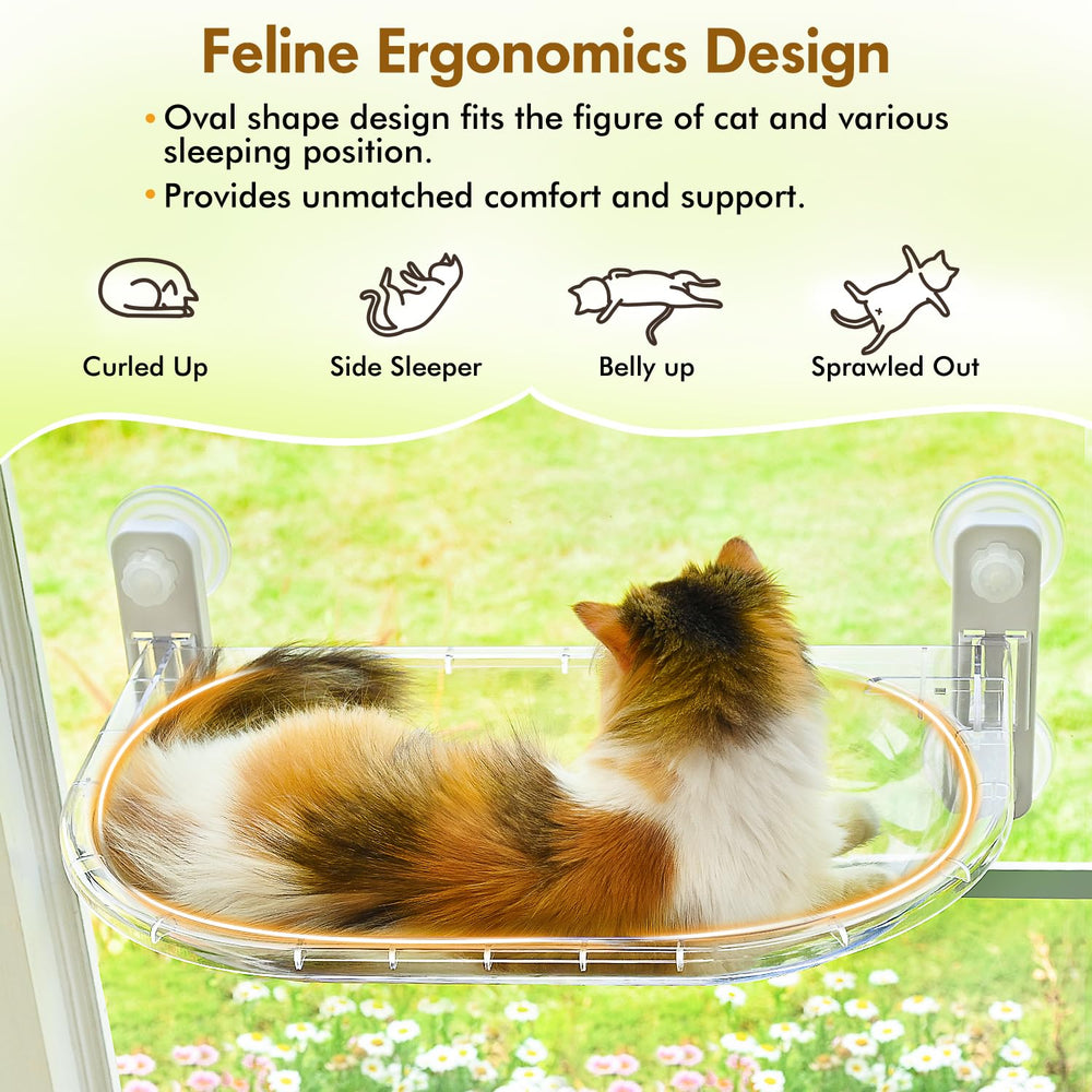 AMOSIJOY cat window perch in use shows peaceful sunbathing and observation.