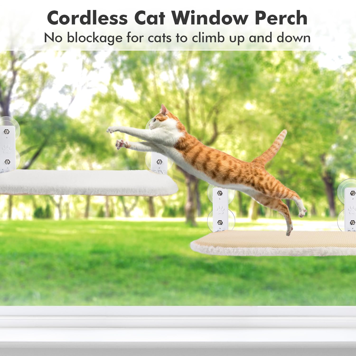 AMOSIJOY gatos disfrutan del sol desde la hamaca en la ventana.