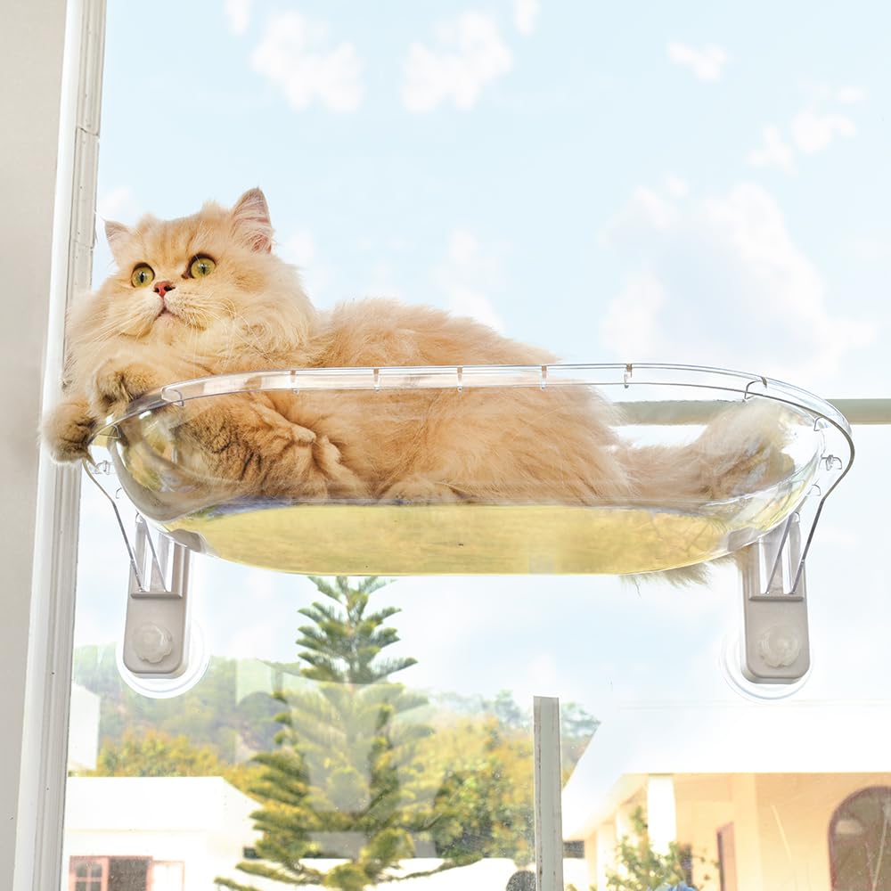 AMOSIJOY transparent window perch demonstrates easy assembly and secure suction for sunlit lounging.
