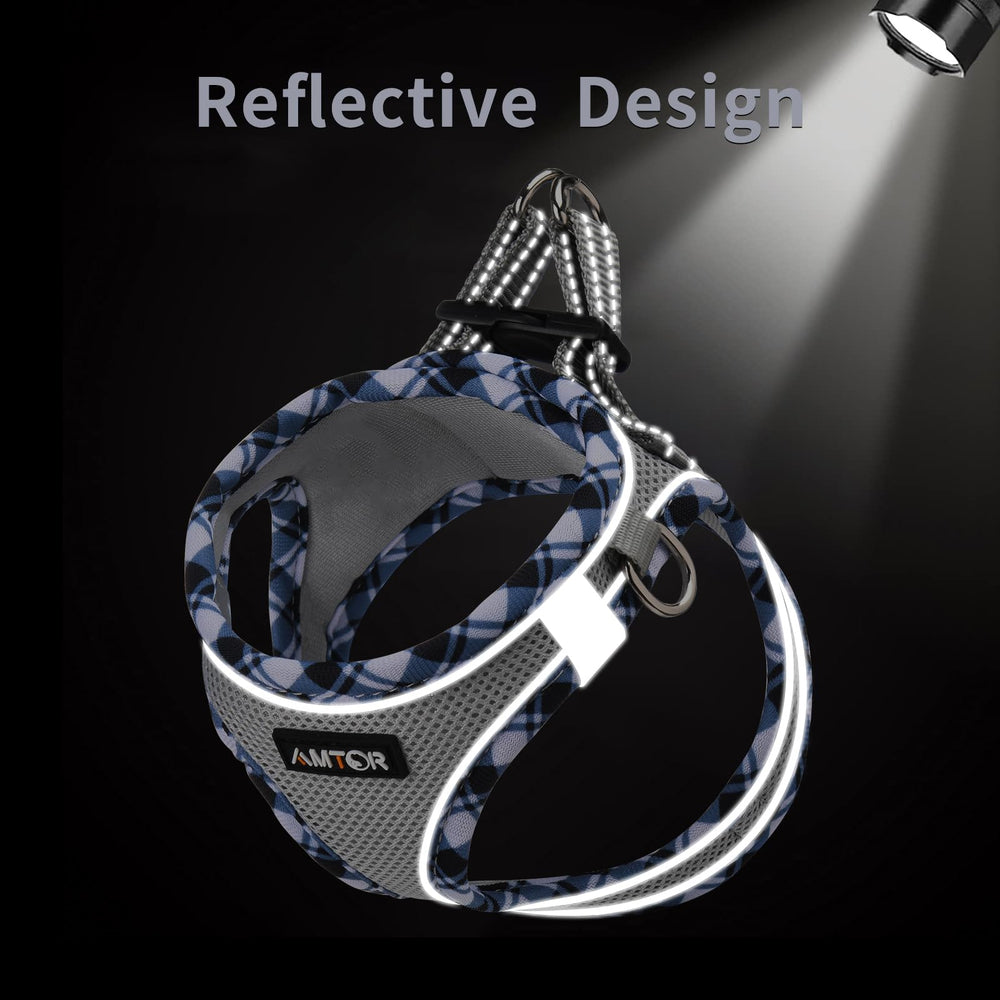 AMTOR harness with reflective strips offers 360-degree visibility for night walks