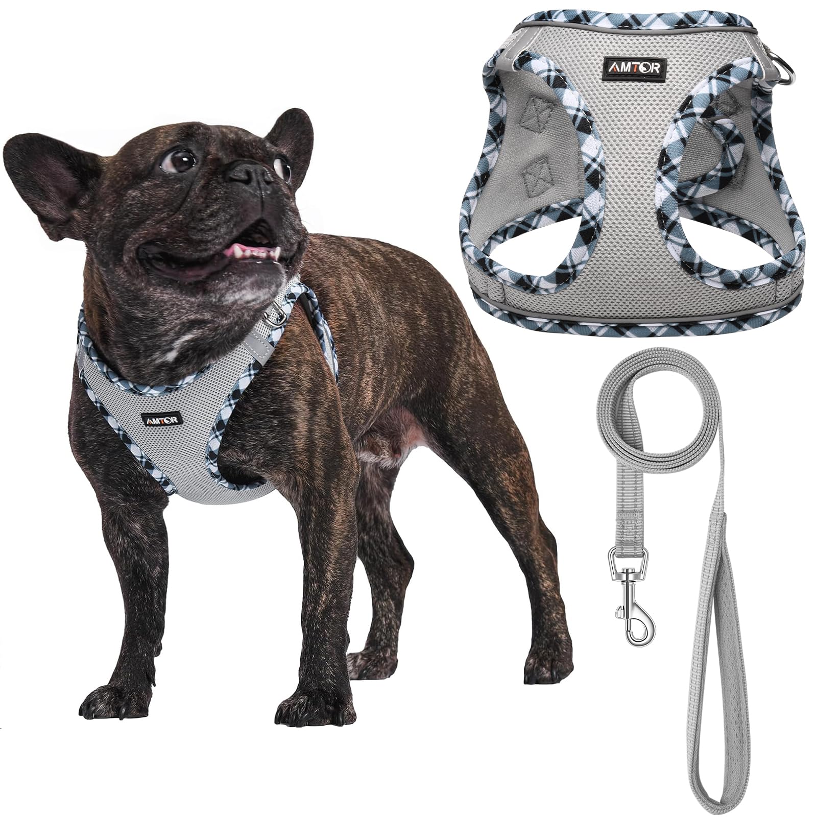AMTOR small dog harness front view shows secure vest for training