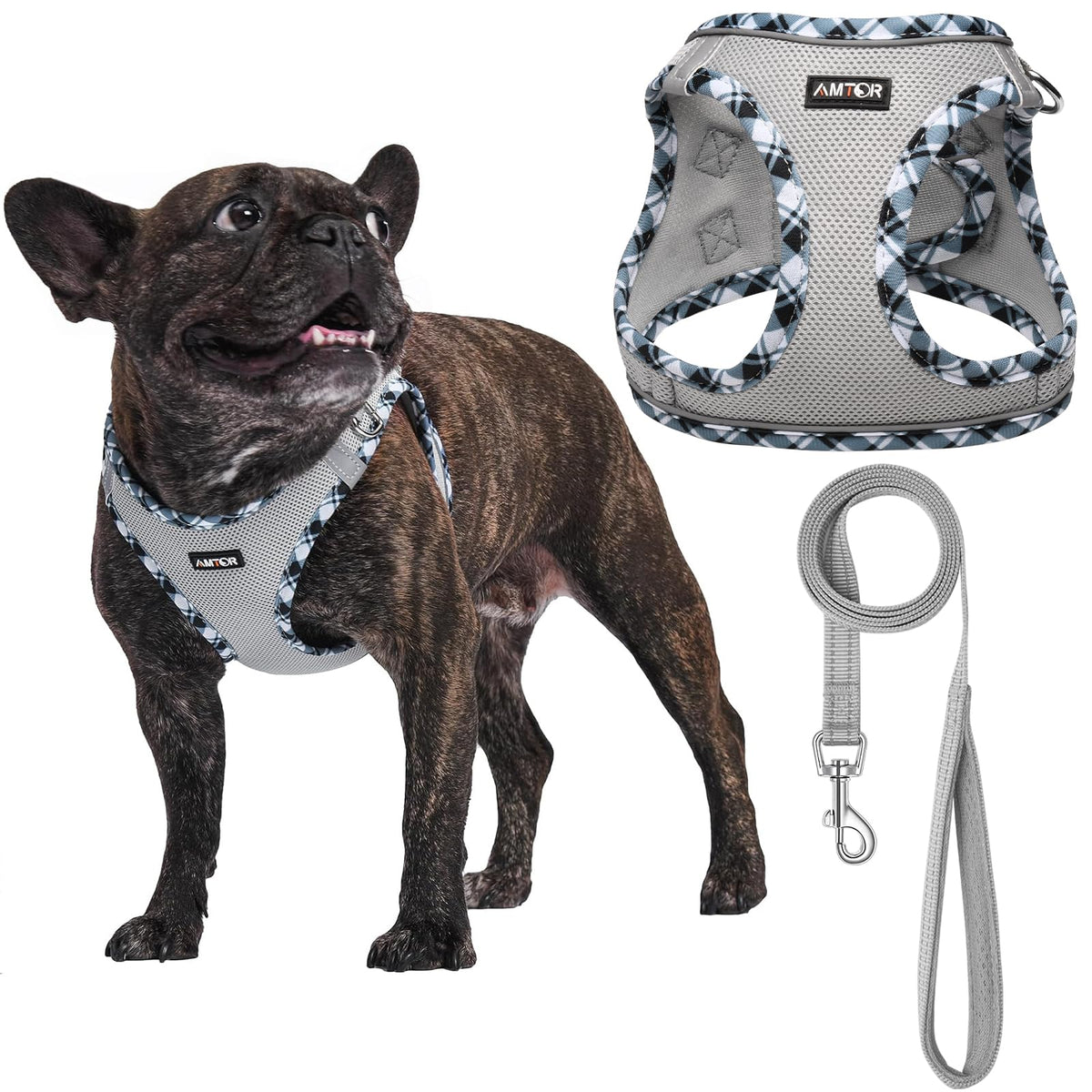 AMTOR small dog harness front view shows secure vest for training
