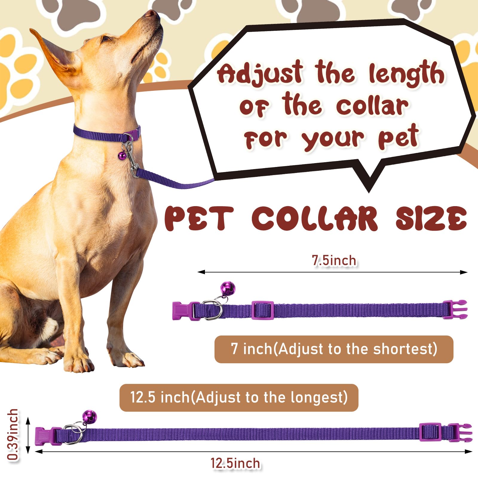 Amylove buckle-design dog collar shows secure, easy-on wear for quick outings.