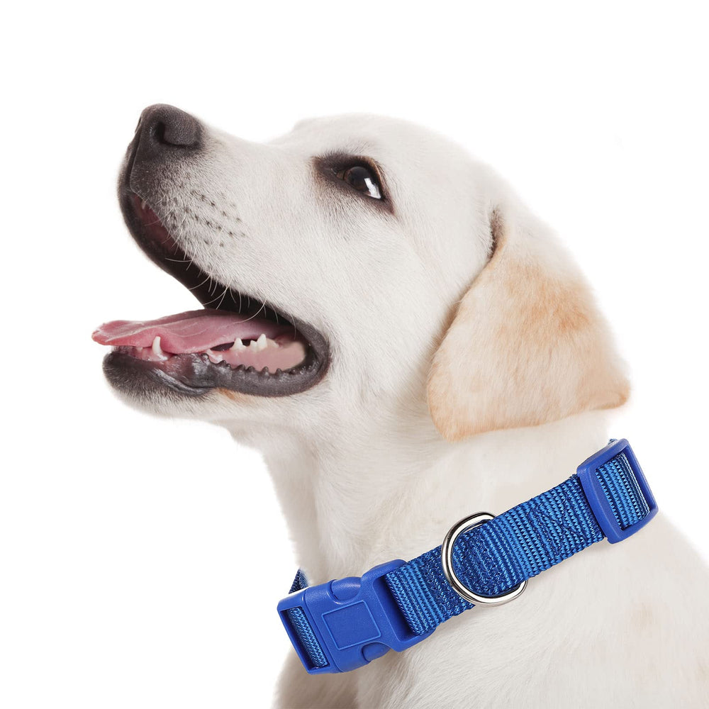 Amylove nine-color variety collars style options for each dog's personality