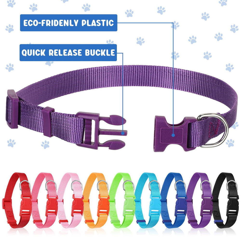 Amylove nylon dog collar close-up highlights durable materials for daily adventures.