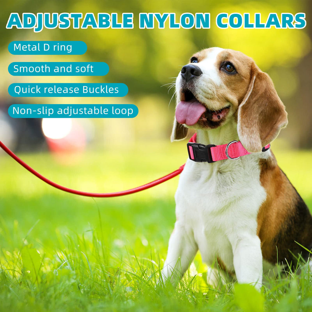 Amylove nylon webbing collar texture closeup with durable stitching and comfort