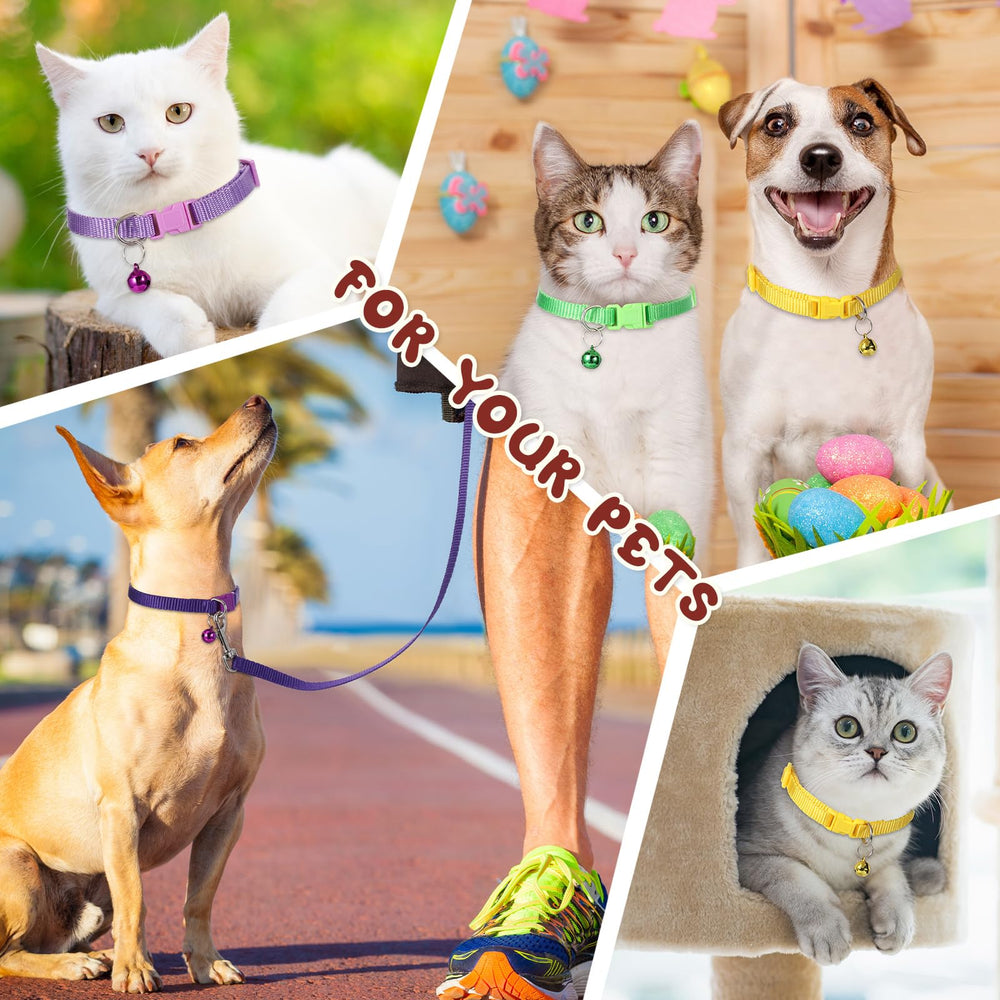 Amylove walking and training collection illustrates versatile gear for everyday routines.