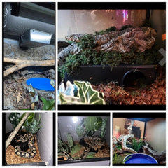 Amypet ball python hide with easy-clean surface for quick maintenance