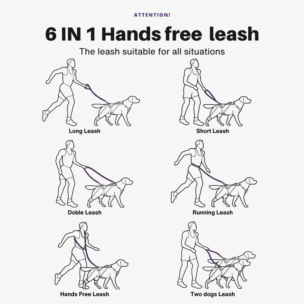 ANAFNI heavy-duty tactical dog leash 360-degree rotating carabiner for tangle-free control.
