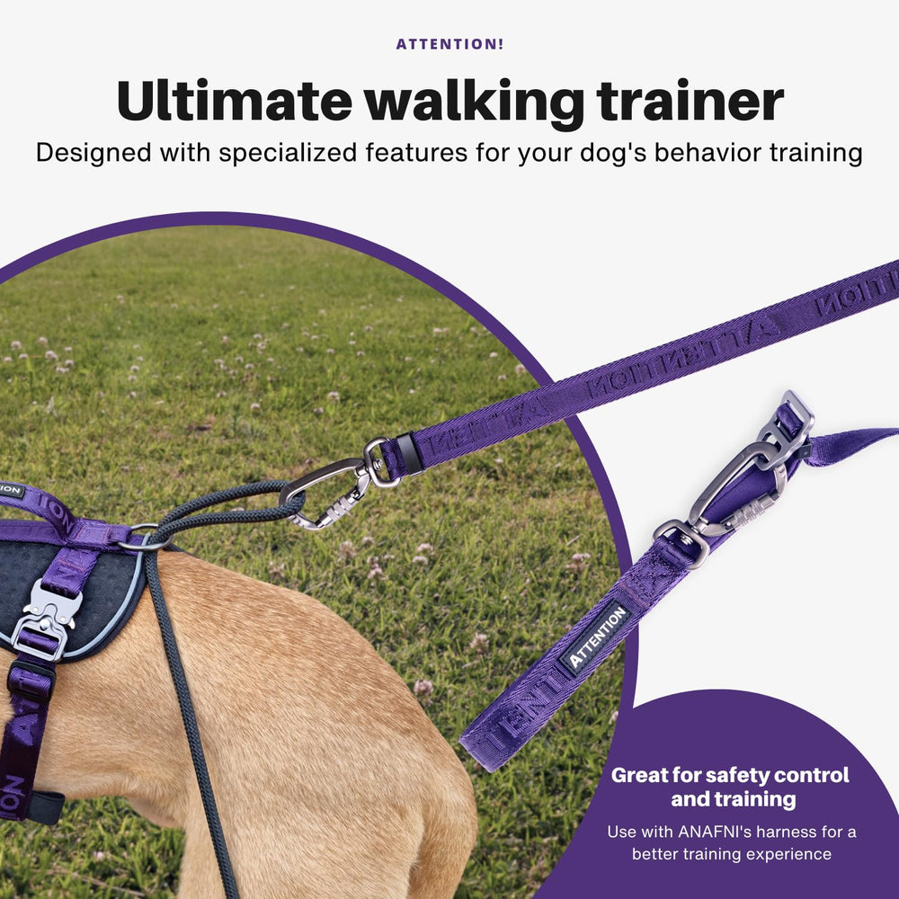 ANAFNI heavy-duty tactical dog leash dual-dog mode for simultaneous walks.