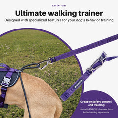 ANAFNI heavy-duty tactical dog leash dual-dog mode for simultaneous walks.