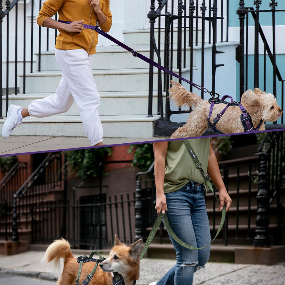 ANAFNI heavy-duty tactical dog leash training-ready design and attention harness compatibility.