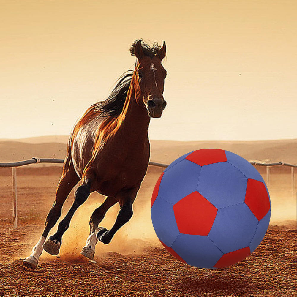 ANC POP caution: not suitable for aggressive chewers with the ball set