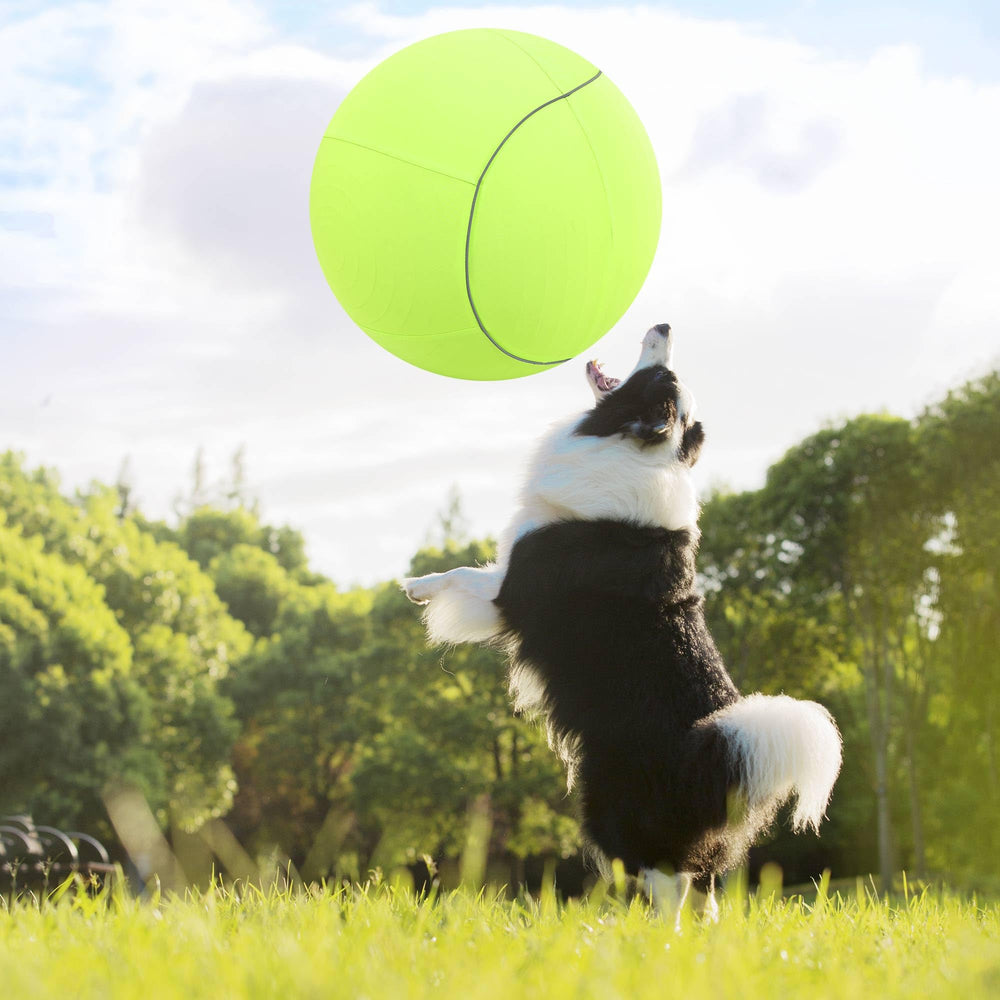 ANC POP puncture-resistant-inner-ball image underlines durable build for rough play and longer sessions