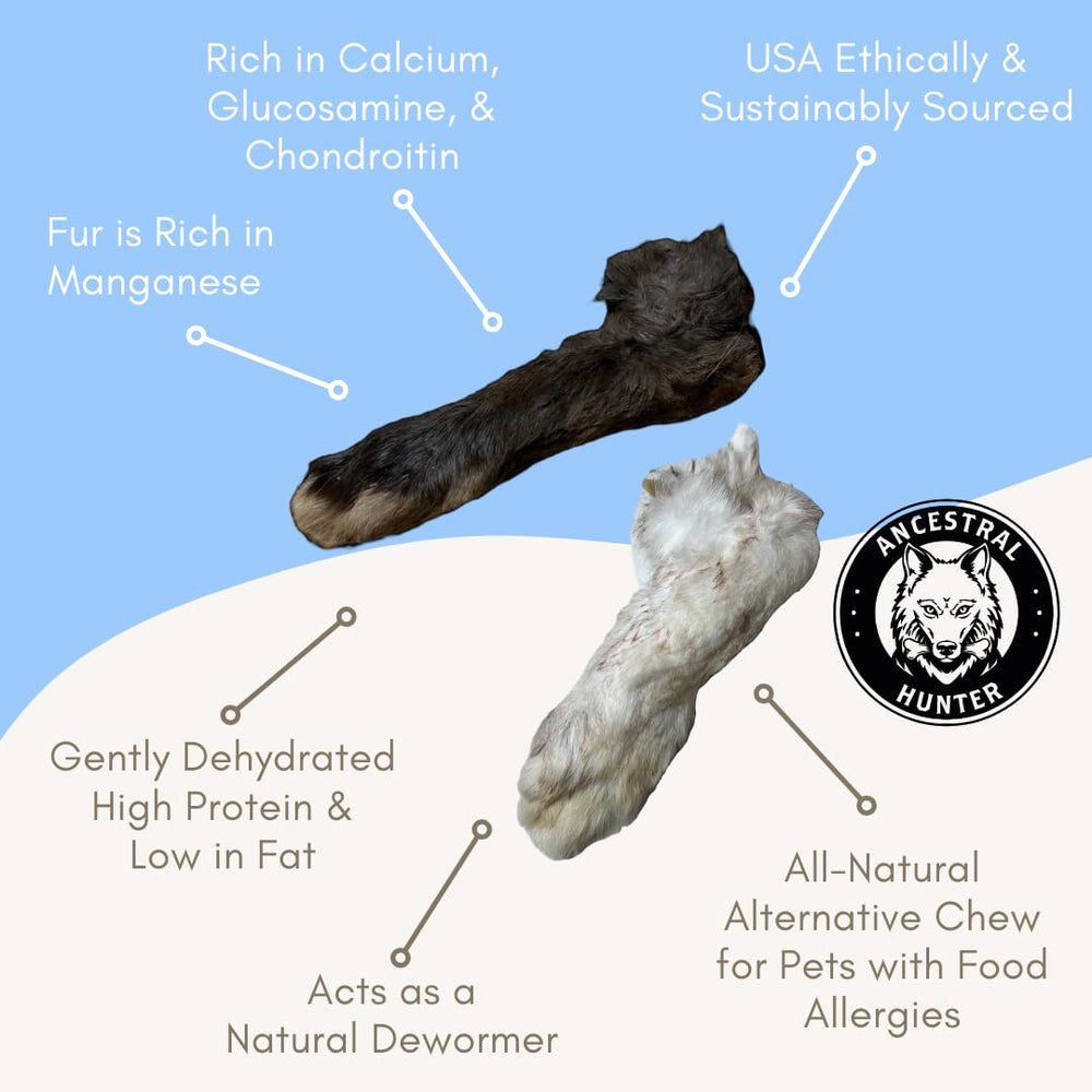 Ancestral Hunter rabbit feet size 4-5 inches demonstrates a naturally varied, satisfying chew.