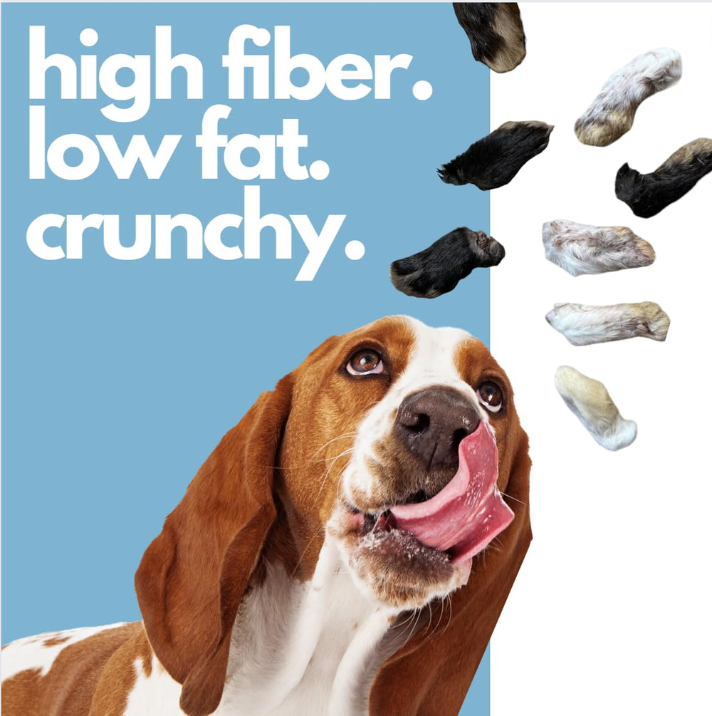 Ancestral Hunter safety-focused chew image reminds supervision and portion control.