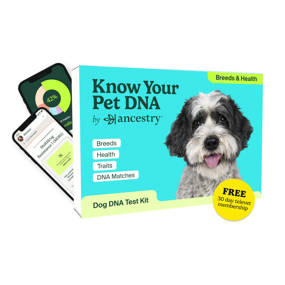 AncestryDNA dog DNA kit registration helps begin your pet's genetic journey with ease.