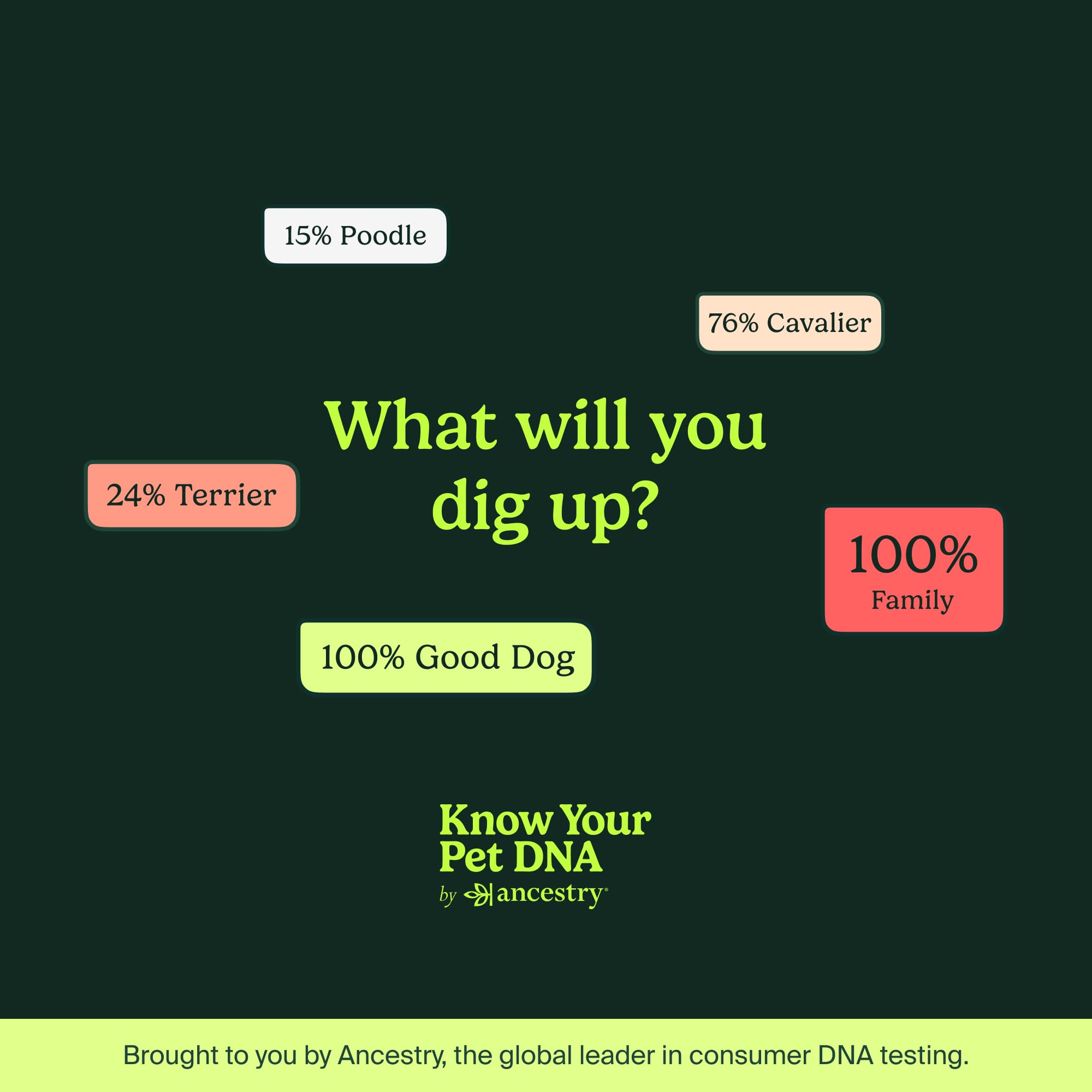AncestryDNA new puppy essentials pairing with DNA insights supports early care.