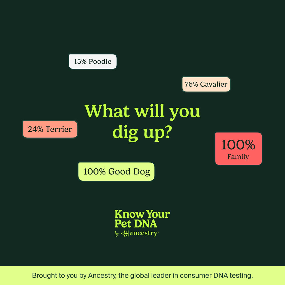 AncestryDNA new puppy essentials pairing with DNA insights supports early care.