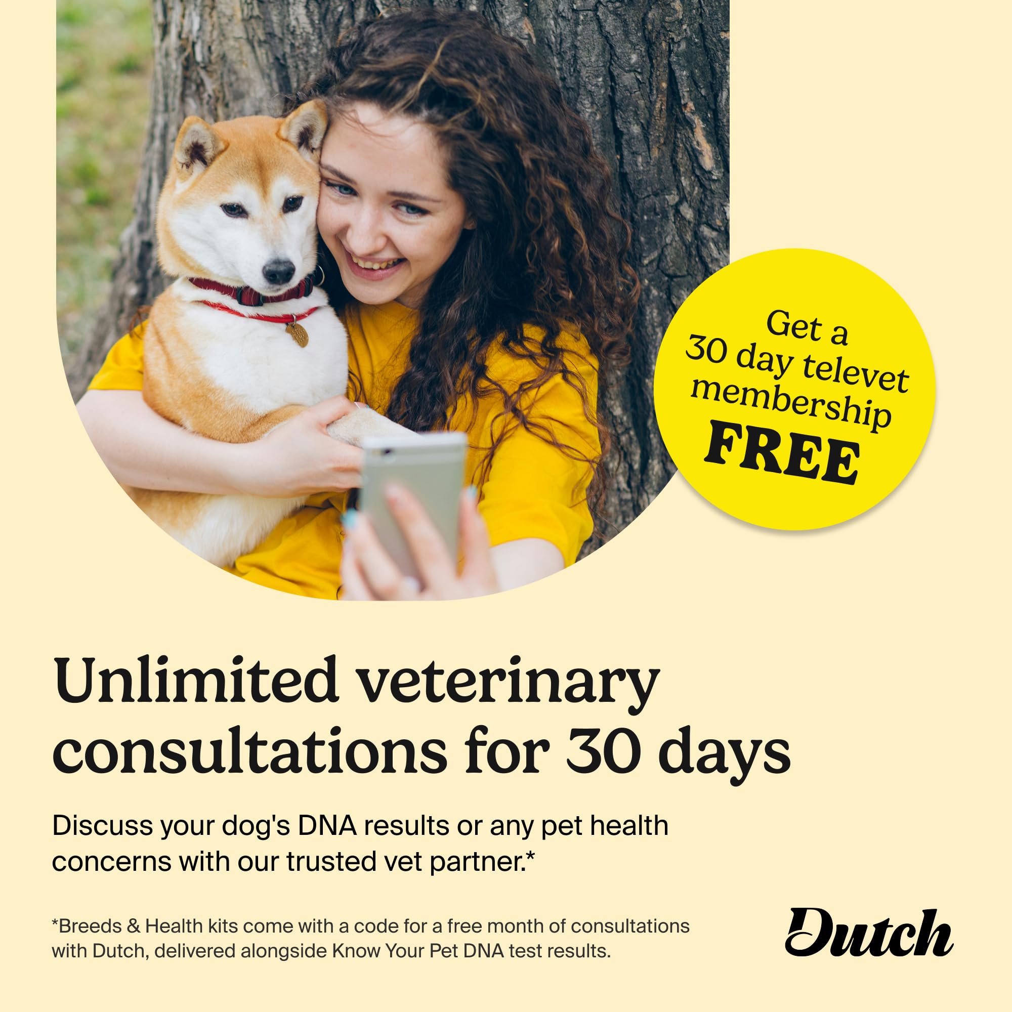 AncestryDNA dog DNA results dashboard presents breed mix and health insights at a glance.