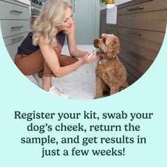 AncestryDNA dog DNA swab sample enables quick, gentle collection for reliable results.