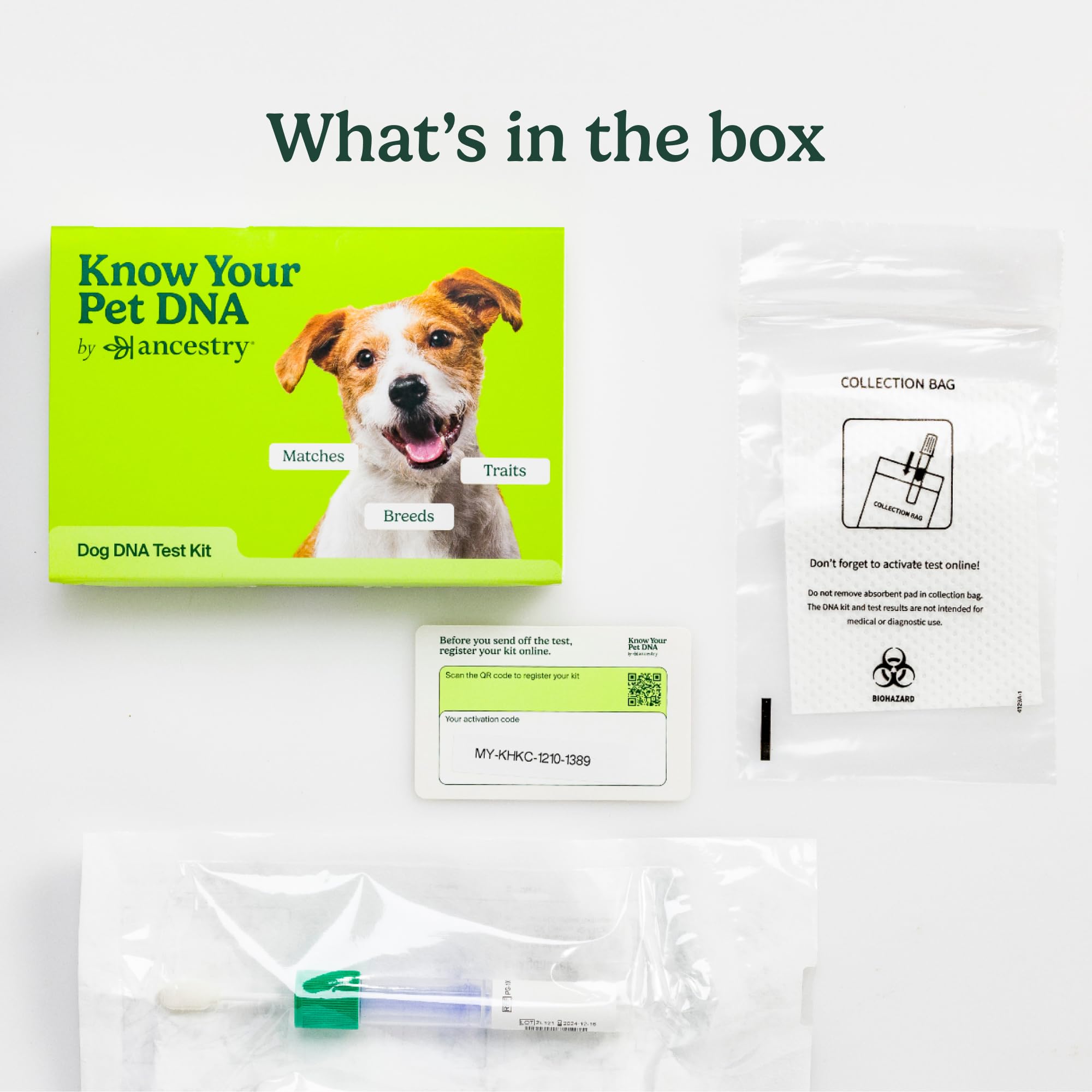 AncestryDNA Dog DNA Test results-report image presents clear genetic insights and findings.