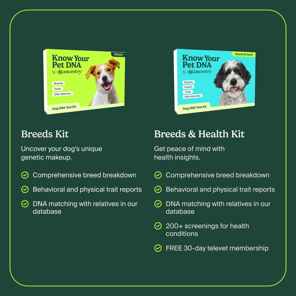 AncestryDNA Dog DNA Test return-kit image showcases secure, simple sample shipping.