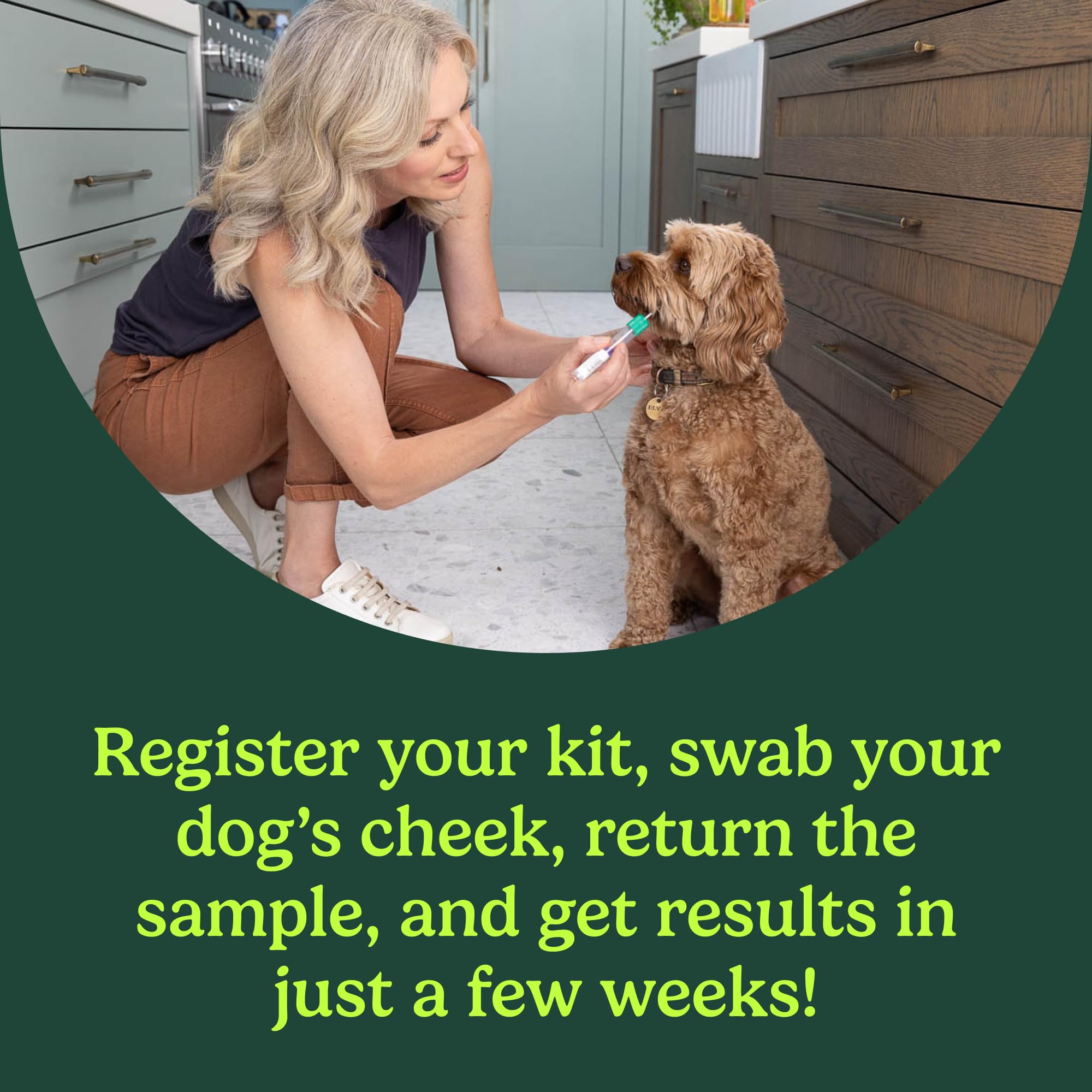 AncestryDNA Dog DNA Test swab-tube image demonstrates gentle collection suitable for all dogs.