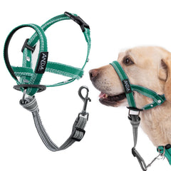 ANDA collar guía suave verde ajustable para paseos más tranquilos.