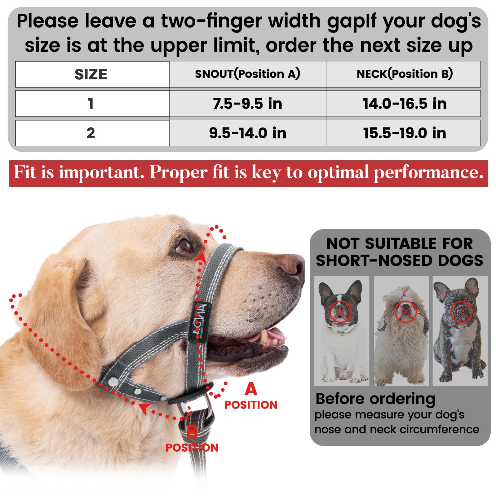 ANDA everyday-use headcollar provides gentle guidance and confidence during outings.