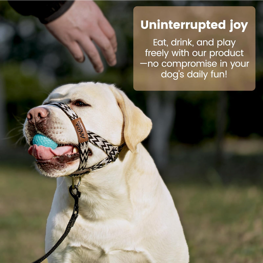 ANDA Gentle Leader lightweight mesh keeps dogs cool on longer walks