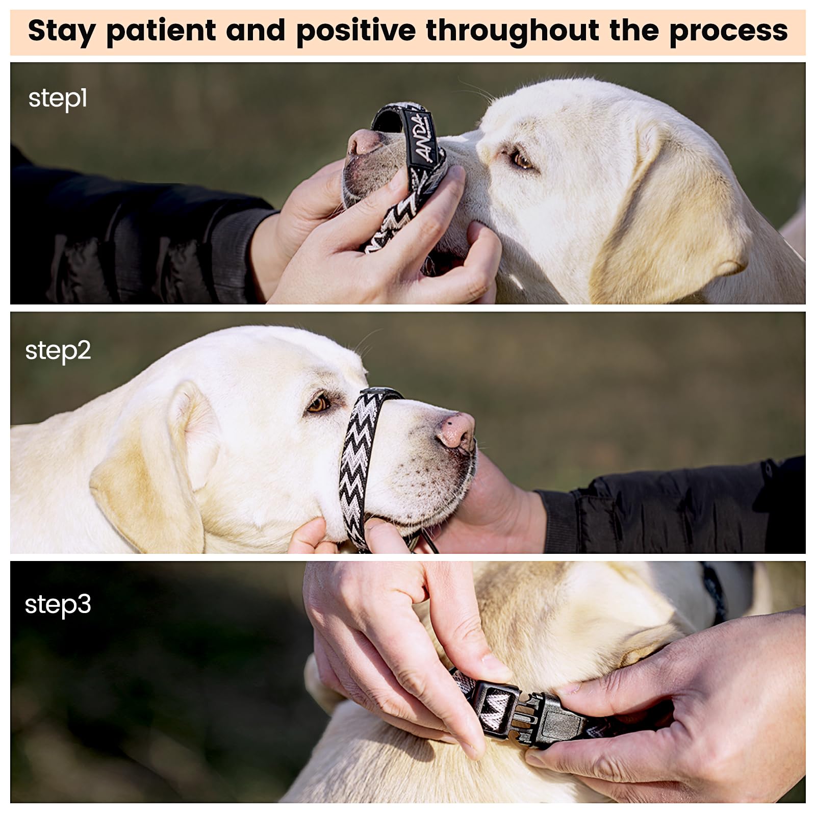 ANDA Gentle Leader on-walk demonstrates no-pull control without choking