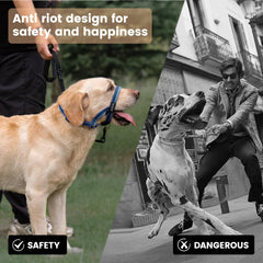 ANDA headcollar adjustable straps provide a secure, customizable fit.