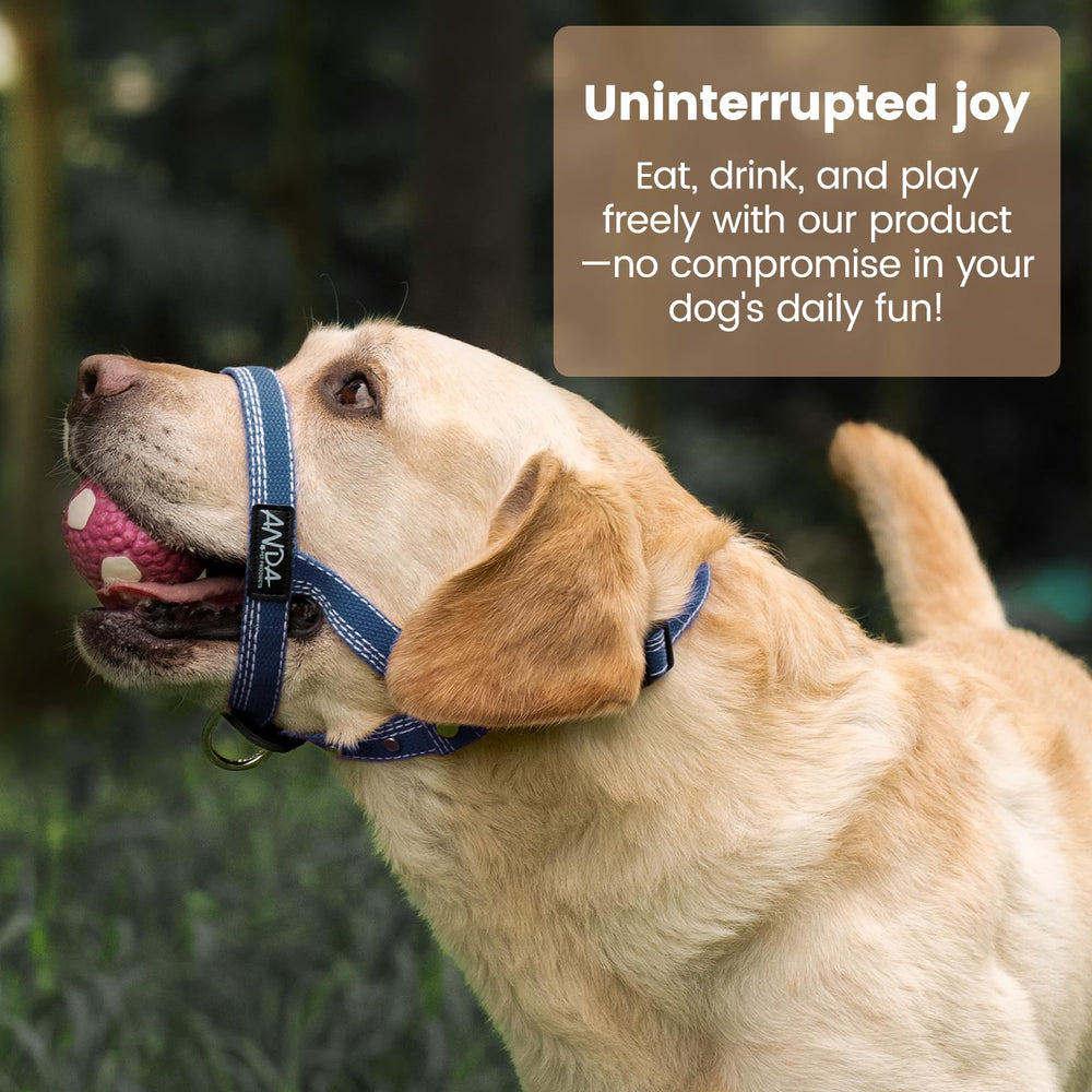 ANDA headcollar uses breathable material for all-day comfort during walks.
