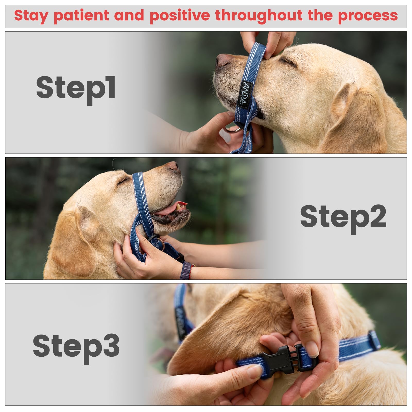 ANDA headcollar fashion design with black-and-white braid for everyday style.