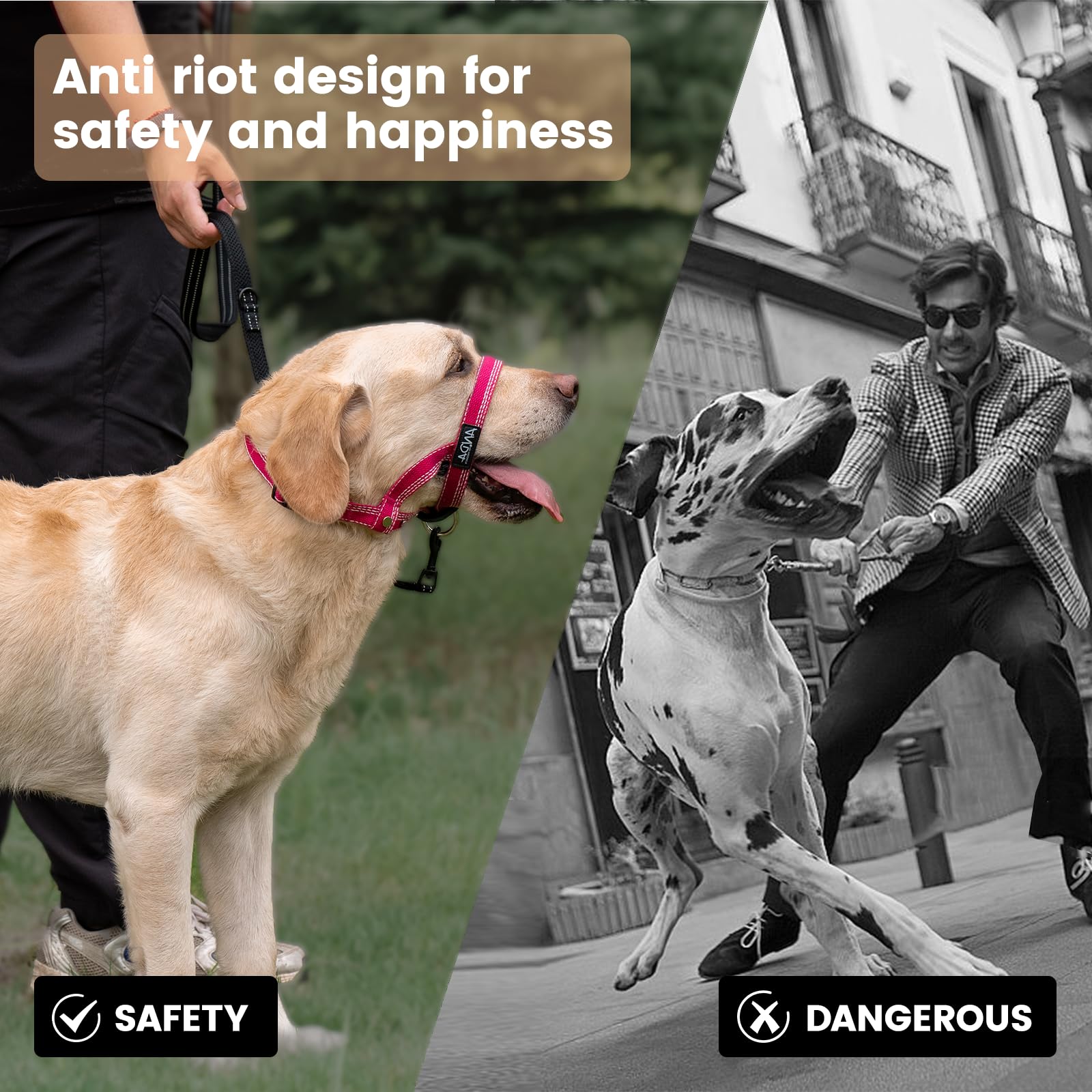 ANDA headcollar adjustment detail demonstrating secure, comfortable fit on dogs