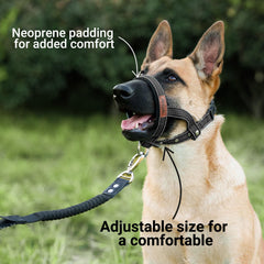 ANDA Ultra-Light Headcollar black closeup of neoprene nose pad reducing friction during walks.