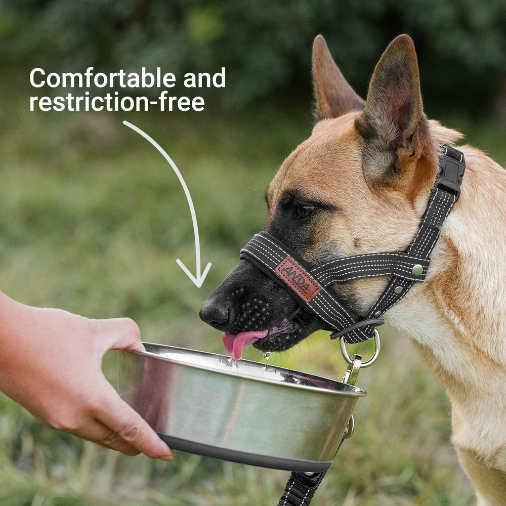 ANDA Ultra-Light Headcollar black reflective webbing for visibility in low light.