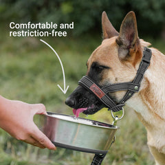 ANDA Ultra-Light Headcollar black reflective webbing for visibility in low light.