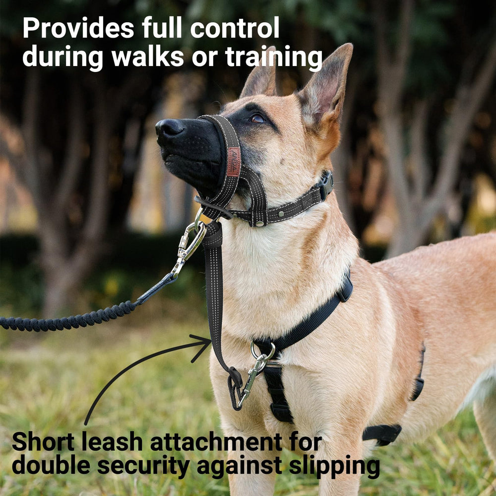 ANDA Ultra-Light Headcollar black soft lining with stylish detailing during daily outings.