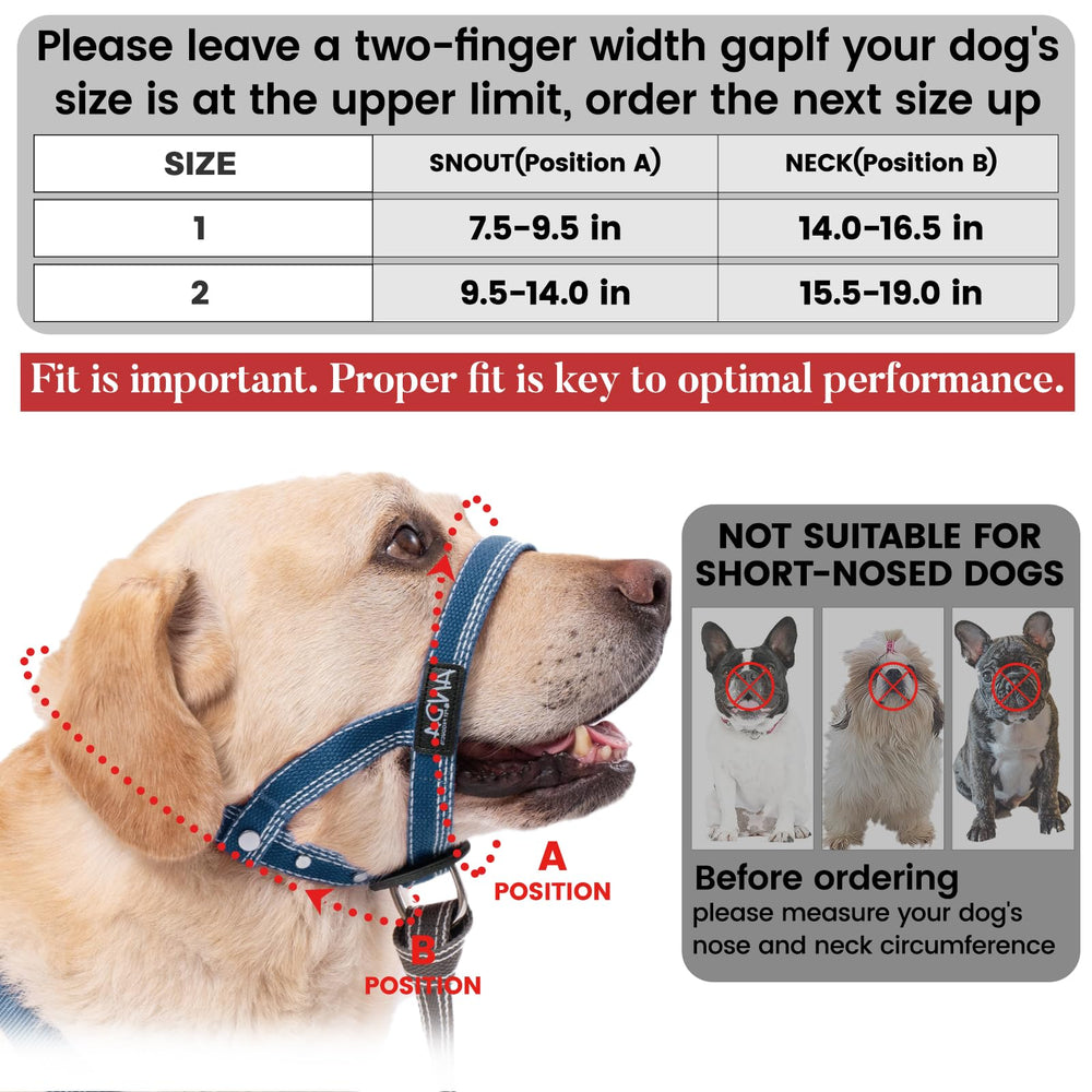 ANDA Ultra-Light Headcollar blue design suited for everyday wear.