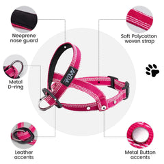 ANDA Ultra-Light No-Pull headcollar on leash during daily walks for comfortable control.