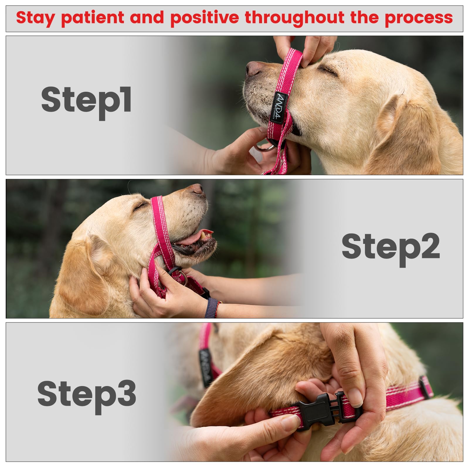 ANDA Ultra-Light No-Pull headcollar fashion-forward design suitable for daily wear.