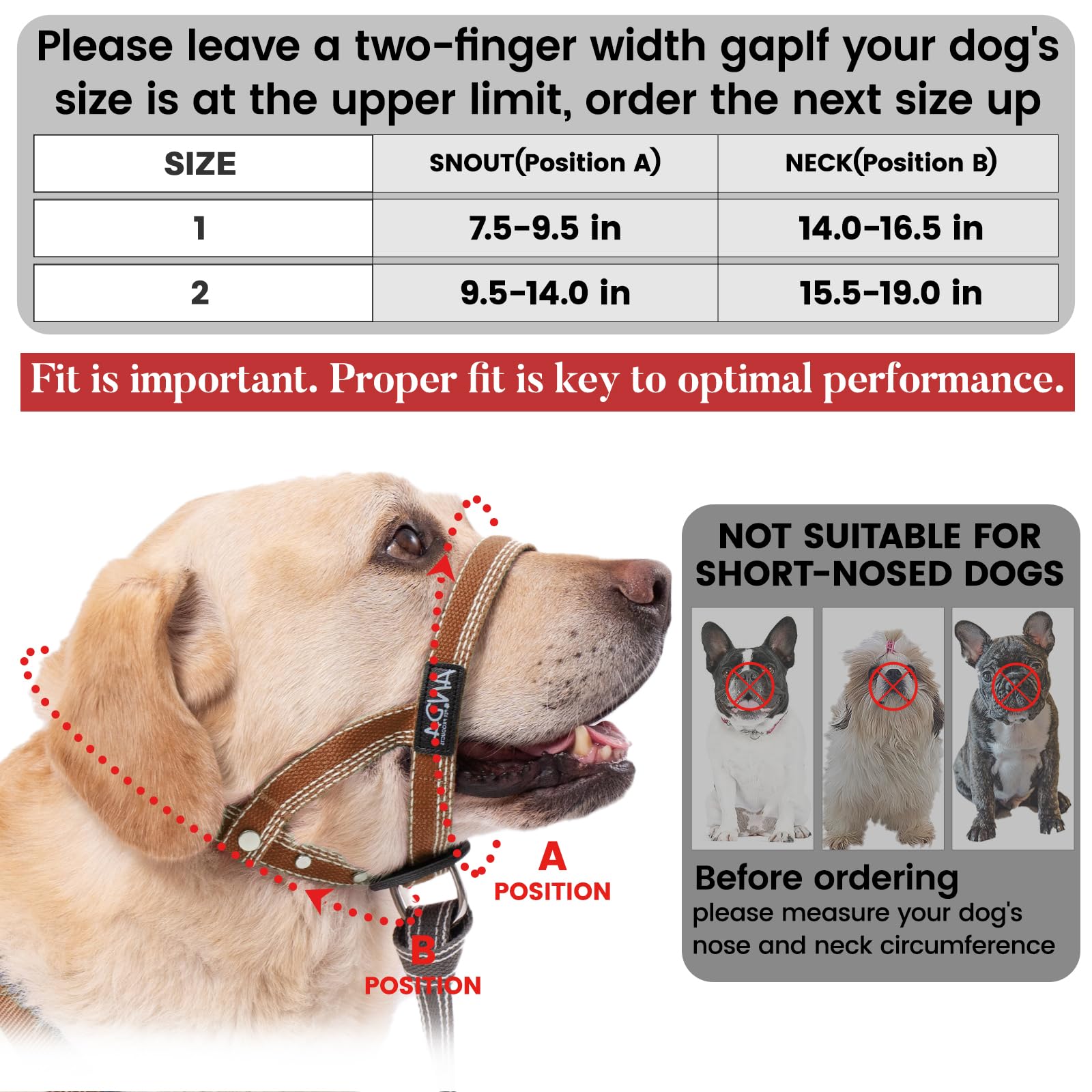 ANDA Ultra-Light No-Pull headcollar in-use walking showcases safer, controlled movement during training.