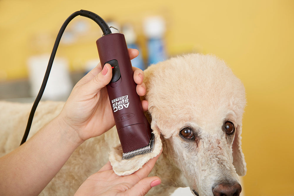 Andis 14-foot cord in use enables easier maneuvering around pets.