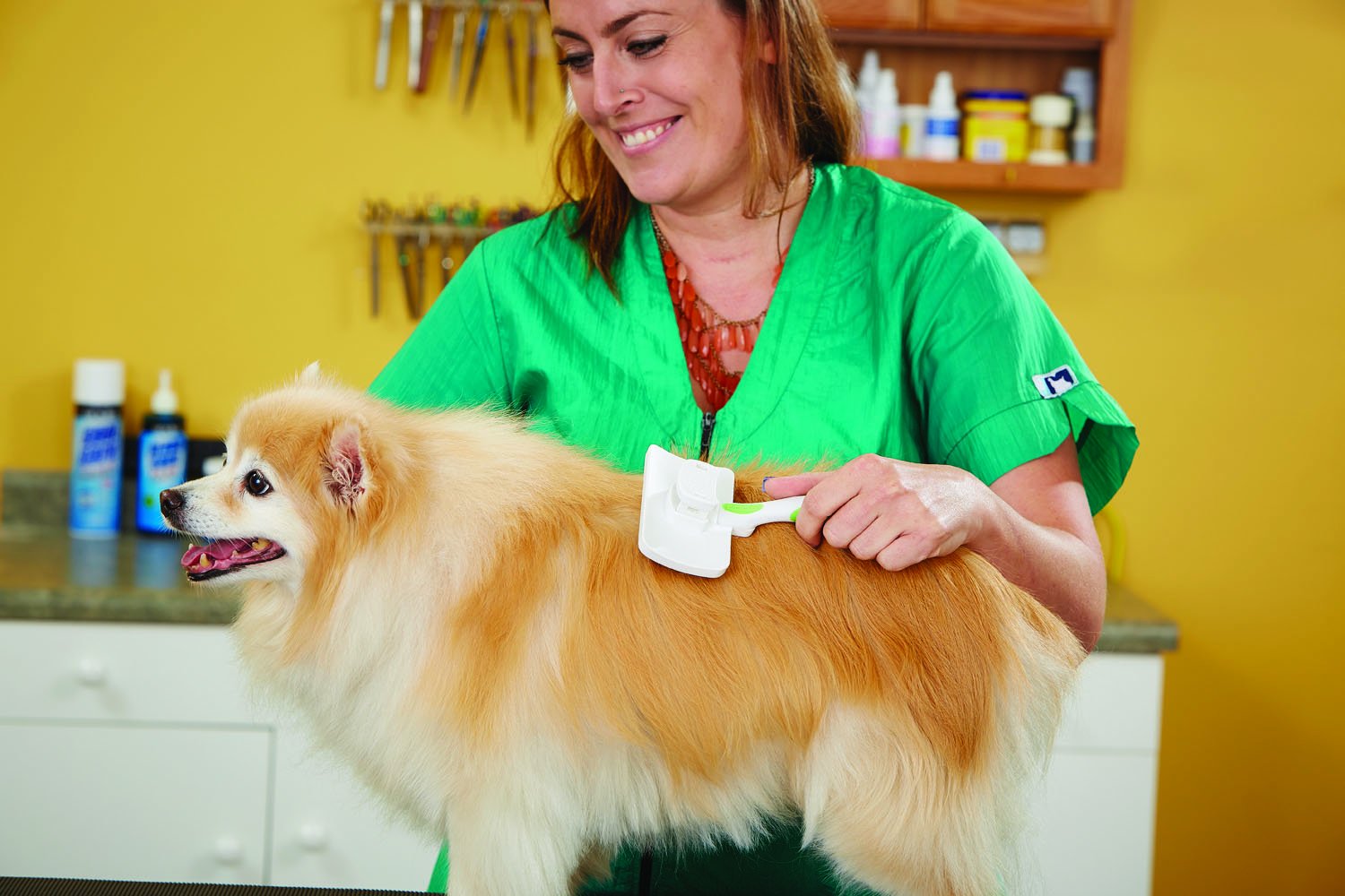 Andis brush grooming all breeds image shows versatile use for dogs and cats.