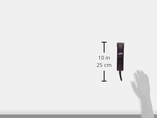 Andis UltraEdge used in professional grooming with multiple breeds.